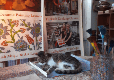 Charlie, the Famous Cat of Sultanahmet